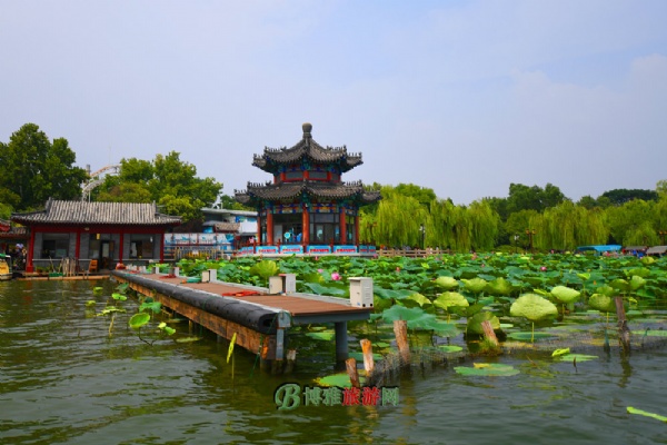 大明湖自然景色秀美，名胜古迹争辉。沿湖八百余株垂柳环绕，柔枝垂绿，婀娜点水。湖中现有四十余亩荷池，碧叶田田，白荷红莲，交相辉映，争奇斗艳，荷香飘溢，沁人心脾。